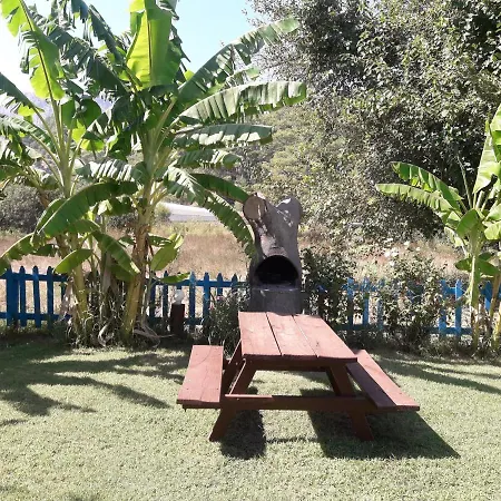 Rose Apart סאריגרמה