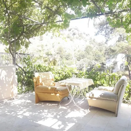 Rose Apart * סאריגרמה