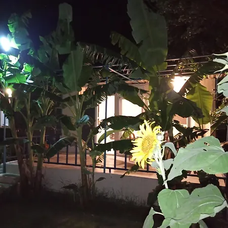 Rose Apartment Sarigerme