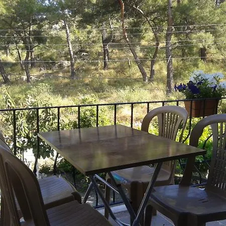 Rose Apart סאריגרמה