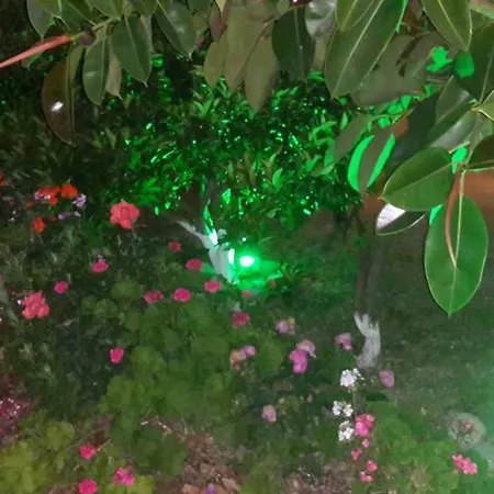 Rose Apart דירה *