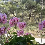 Lägenhet Rose *