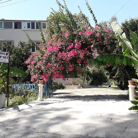 Rose Daire Sarıgerme
