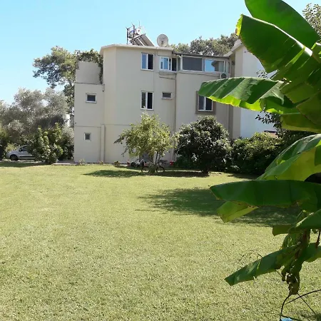Apartament Rose