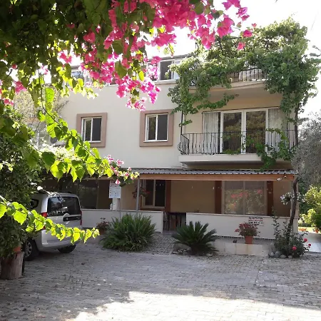 Rose Daire Sarıgerme