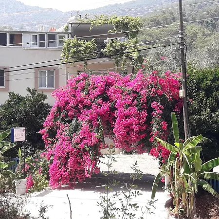 Apartmán Rose