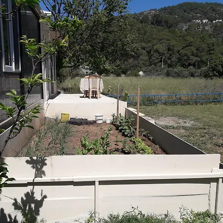 Rose Apartament *