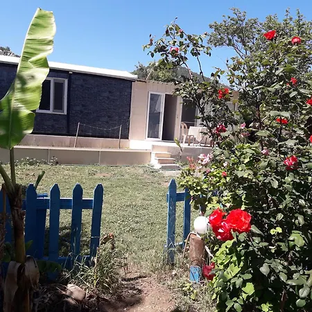 Apartmán Rose *
