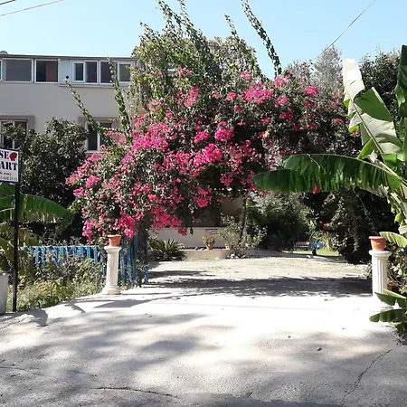 Apartmán Rose *