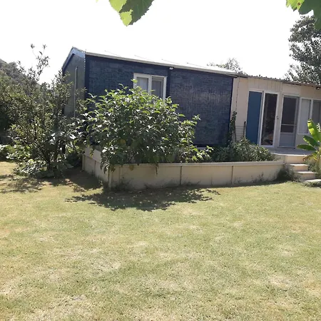 Rose Apartmán Sarigerme