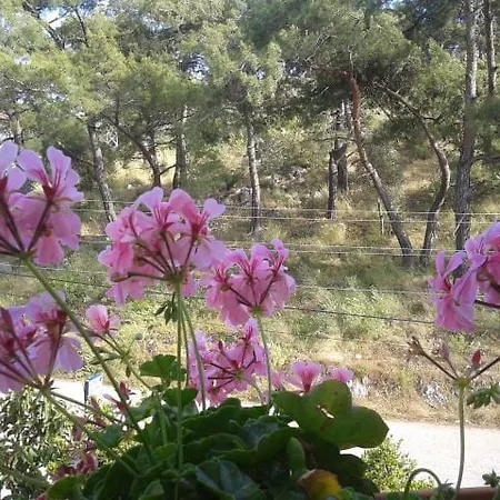 Apartmán Rose *
