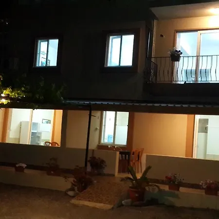 Rose Daire Sarıgerme